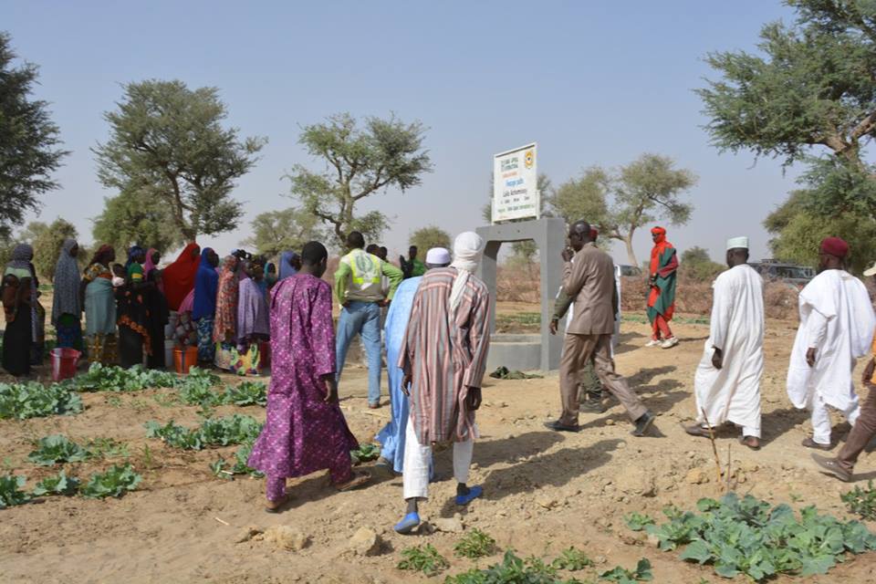 16388230 1243146449111824 6045263762732922065 n