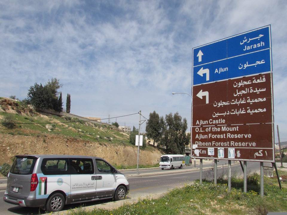 17342867 1329273060441768 6191340931178417689 n