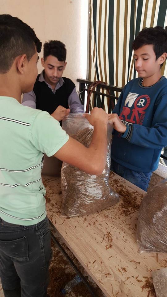 27540844 1307279482750544 1326458012677244075 n