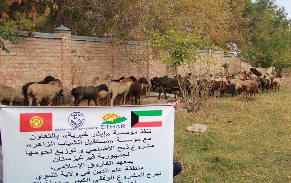 20429720 1552829058110815 1112285548174300773 n