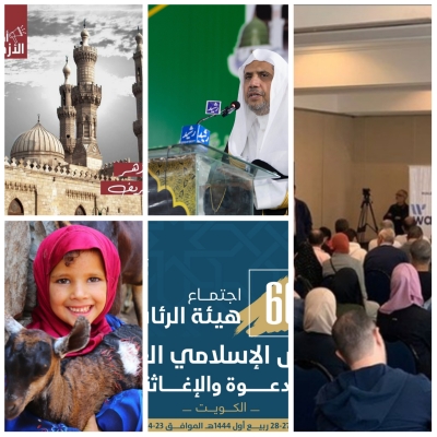 أخبار المنظمات التابعة للمجلس في أسبوع